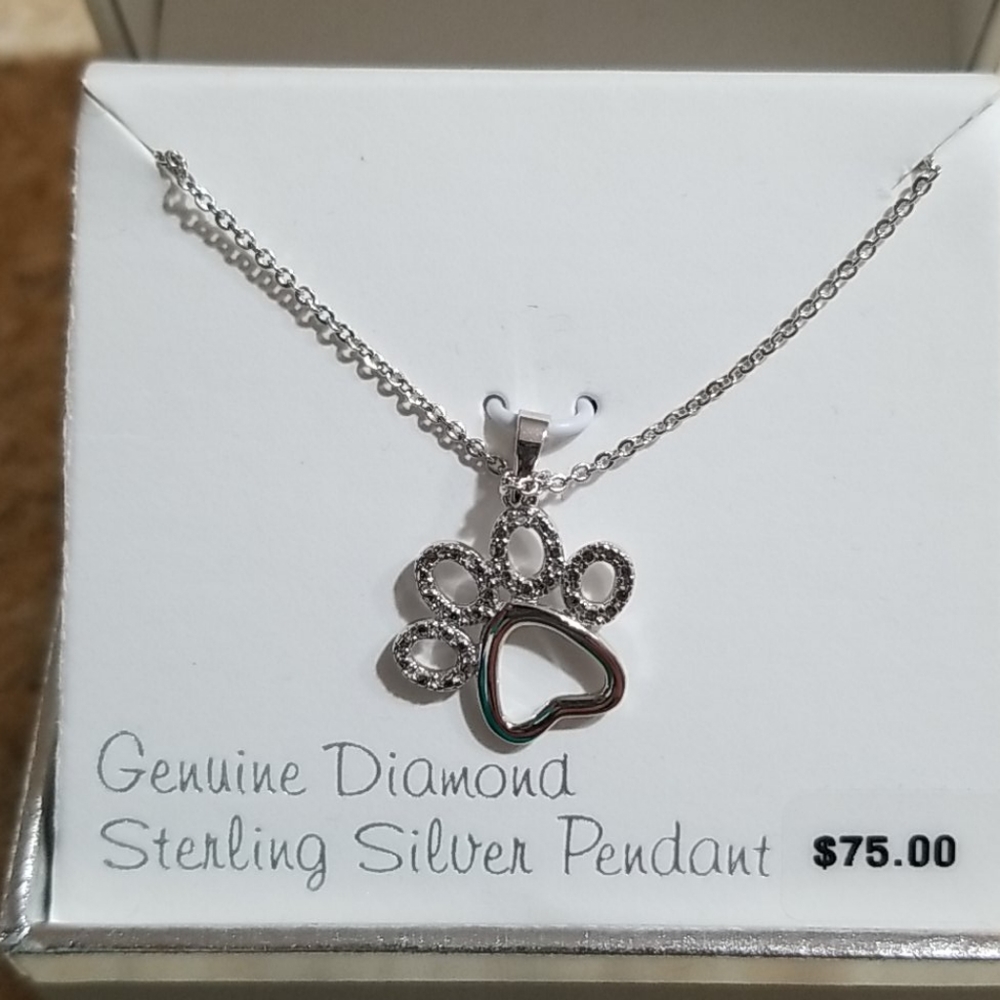 Silver necklace with pendant NWT